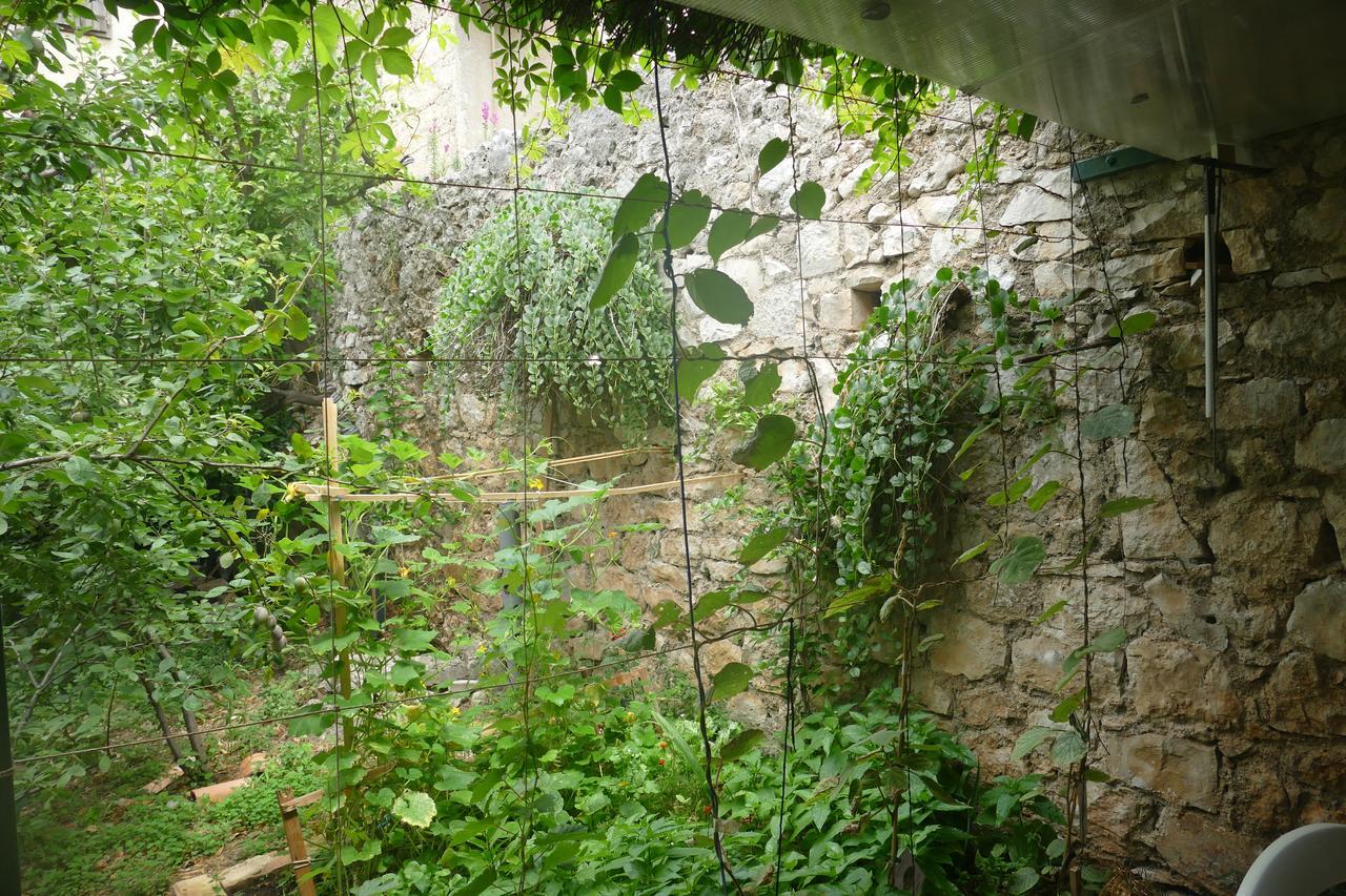Villa Abeona Makarska Extérieur photo